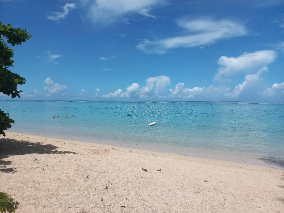 Iolana'S Beach House - Beautiful Home 普纳奥亚 外观 照片