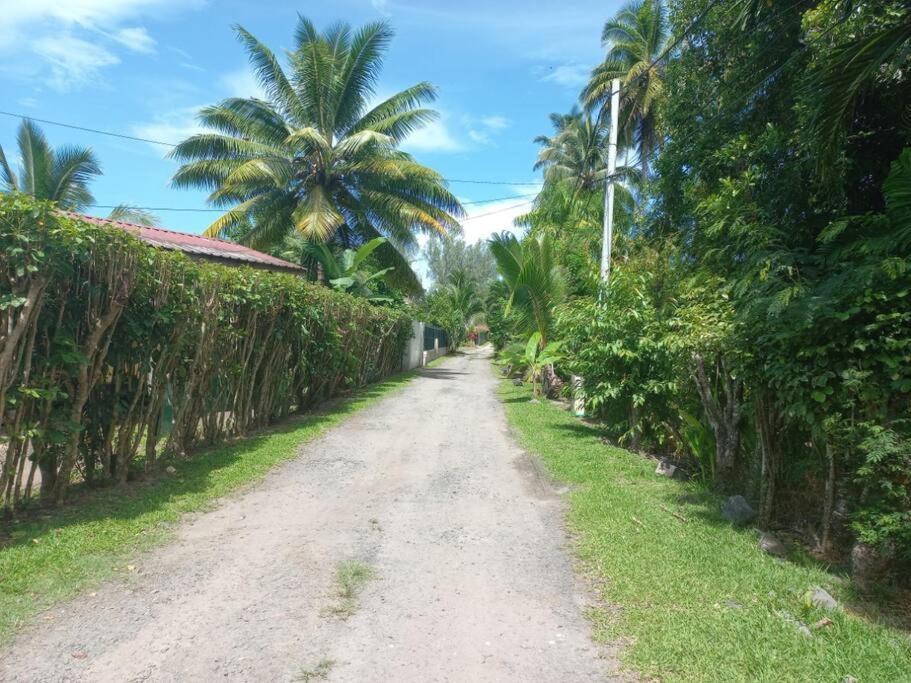 Iolana'S Beach House - Beautiful Home 普纳奥亚 外观 照片